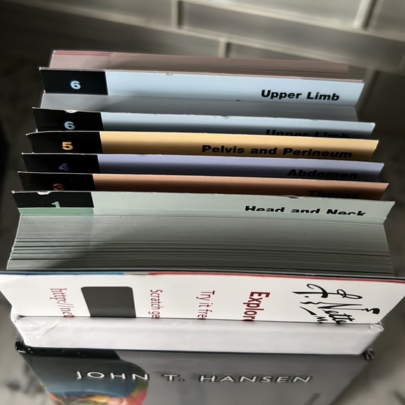 Other Netters Anatomy Flash Cards 4th Edition Poshmark